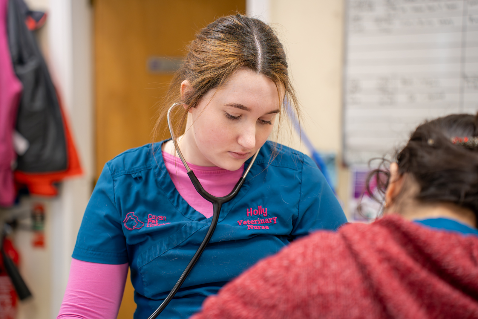 Cavan Pet Hospital (Web) 067
